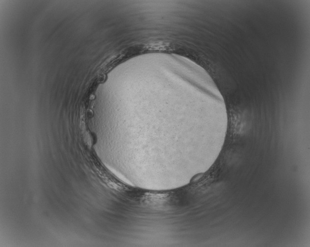 X0000076320665200610201640