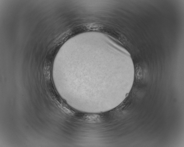 X0000076320666200610201640