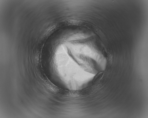 X0000076320668200610201640