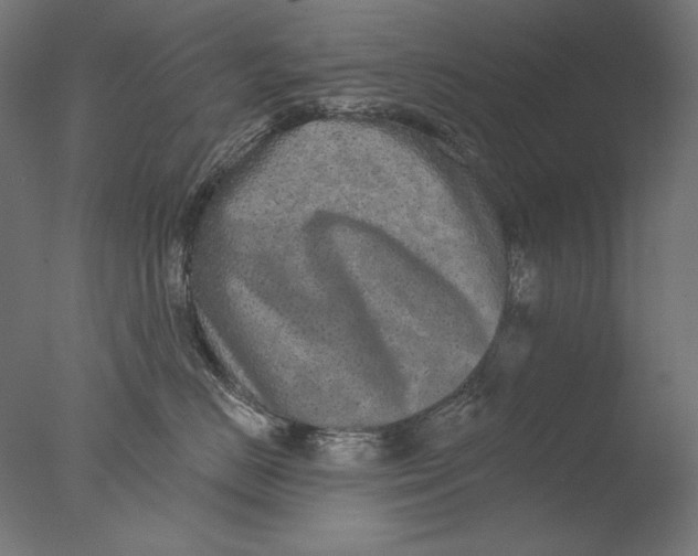 X0000076320670200610201640