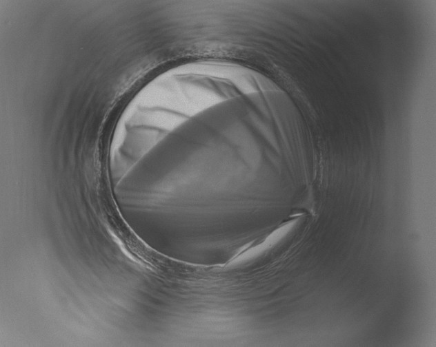 X0000076320674200610201639