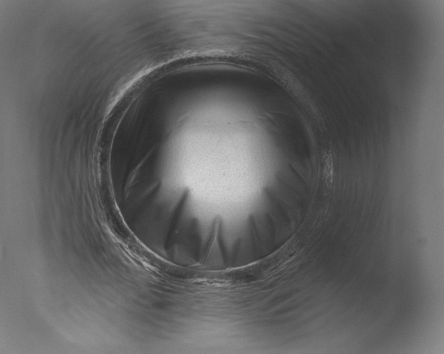 X0000076320676200610201639