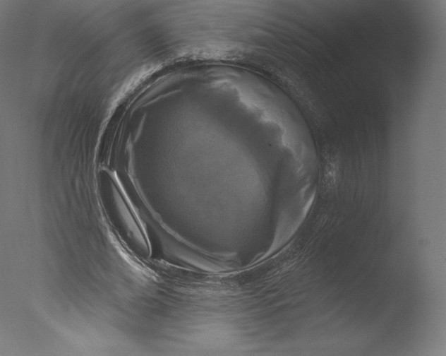 X0000076320678200610201639