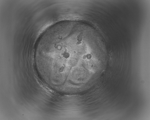 X0000076320679200610201639