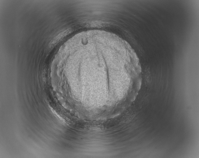 X0000076320683200610201639