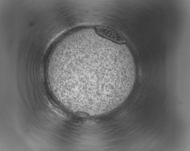 X0000076320684200610201639