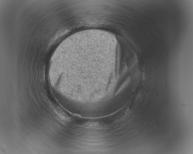 X0000076320685200610201639