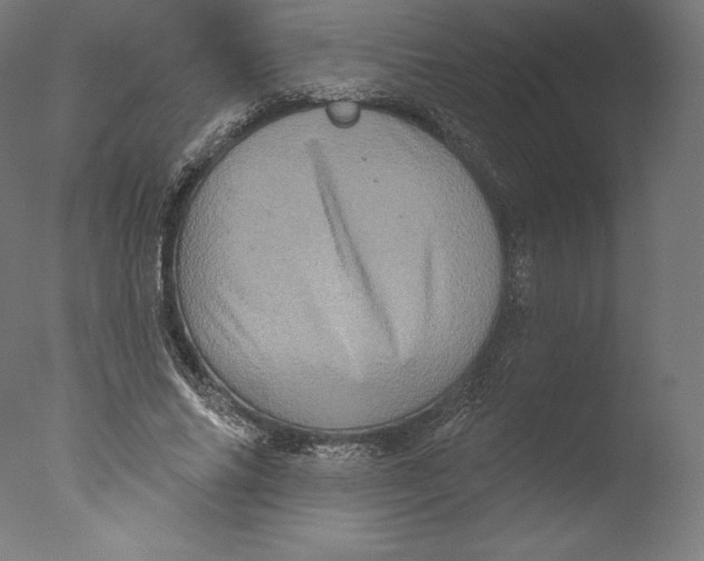 X0000076320686200610201639