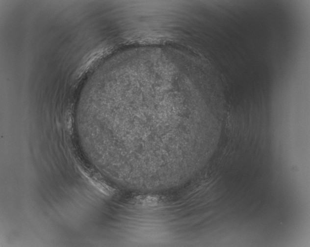 X0000076320687200610201639