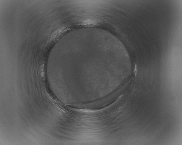 X0000076320689200610201639