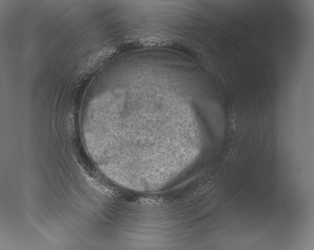 X0000076320690200610201639