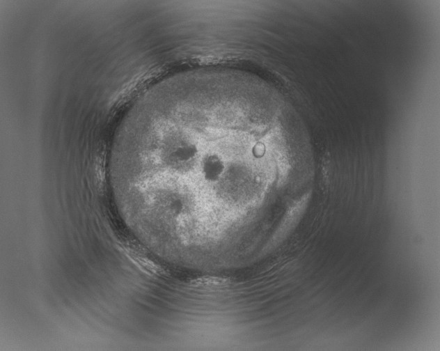 X0000076320691200610201639