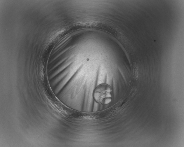 X0000076320692200610201639