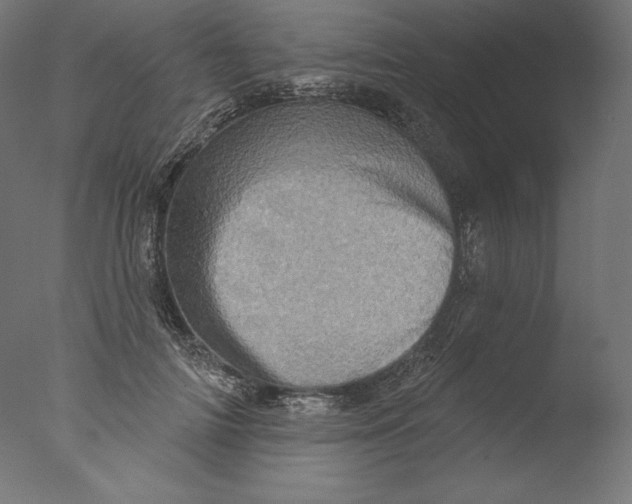 X0000076320698200610201639