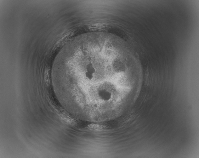 X0000076320699200610201639