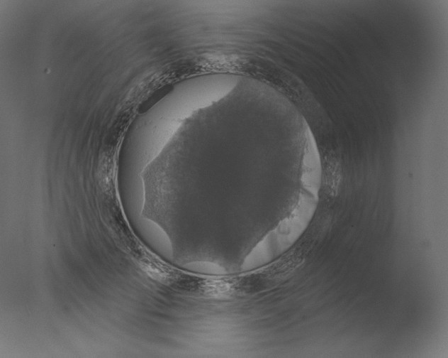 X0000076320701200610201639