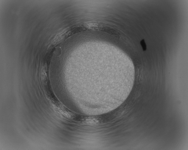 X0000076320702200610201639