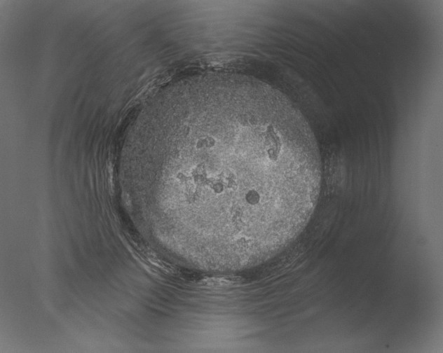 X0000076320703200610201639