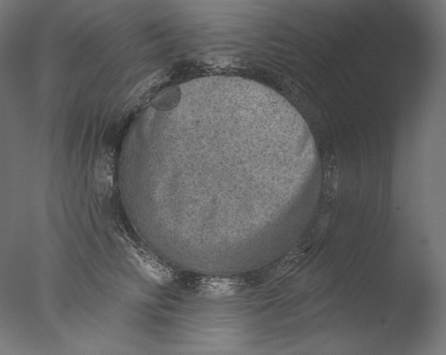 X0000076320710200610201639