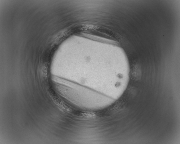 X0000076320715200610201639