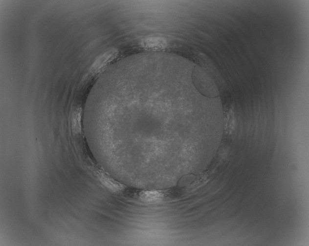 X0000076320717200610201639