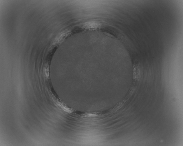 X0000076320718200610201639