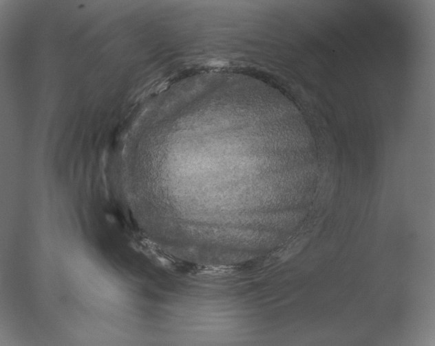 X0000076320720200610201639