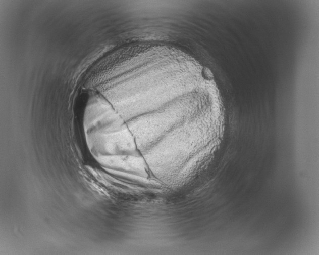 X0000076320721200610201638