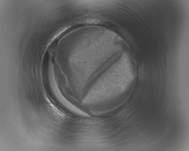 X0000076320722200610201638