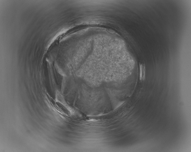 X0000076320723200610201638