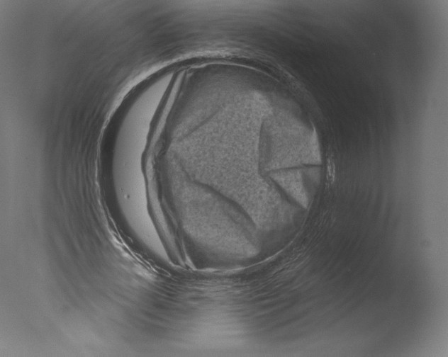 X0000076320724200610201638