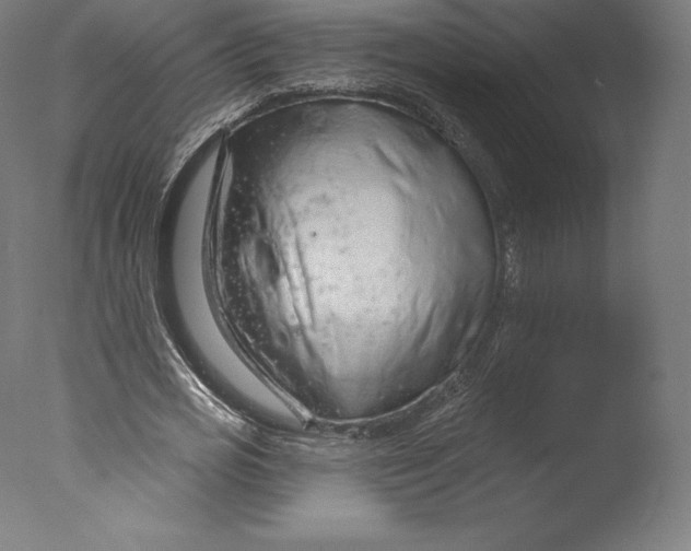 X0000076320725200610201638