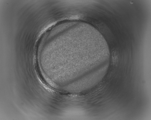 X0000076320728200610201638