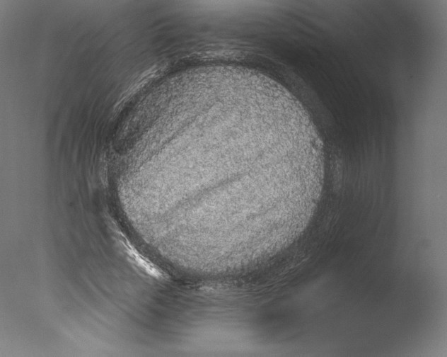 X0000076320729200610201638