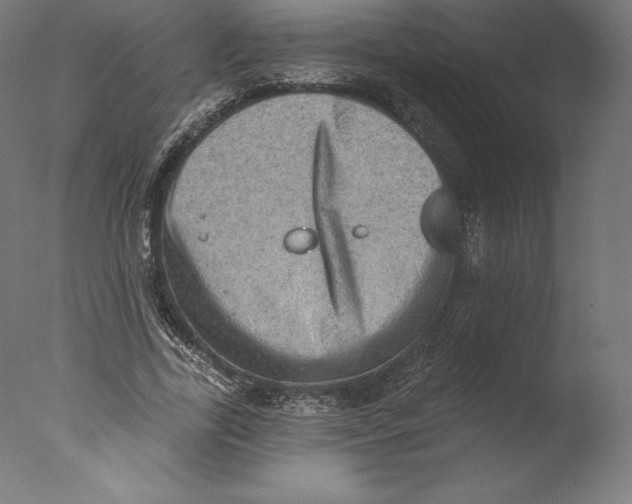 X0000076320731200610201638