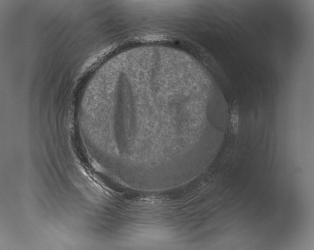 X0000076320732200610201638