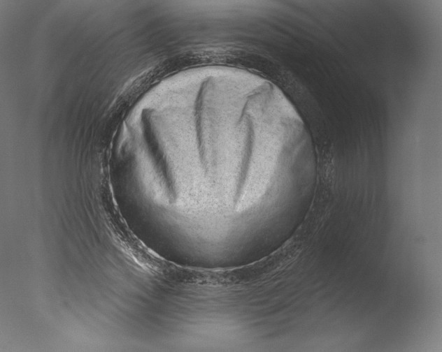 X0000076320733200610201638