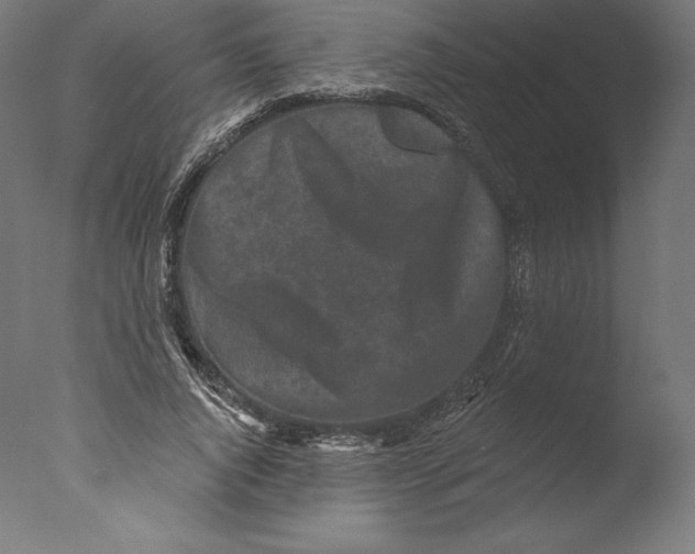 X0000076320736200610201638