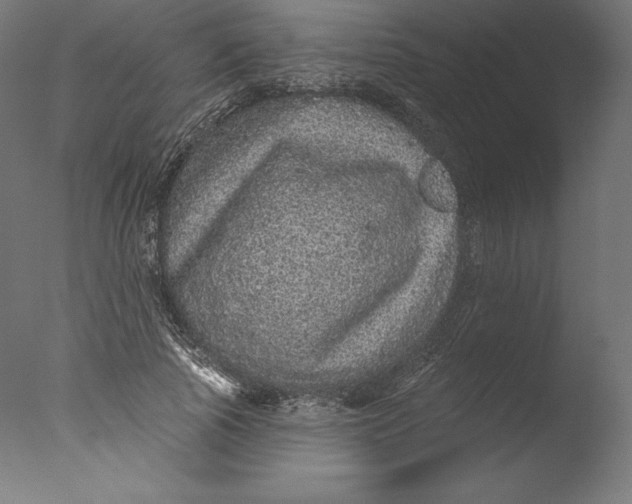 X0000076320737200610201638