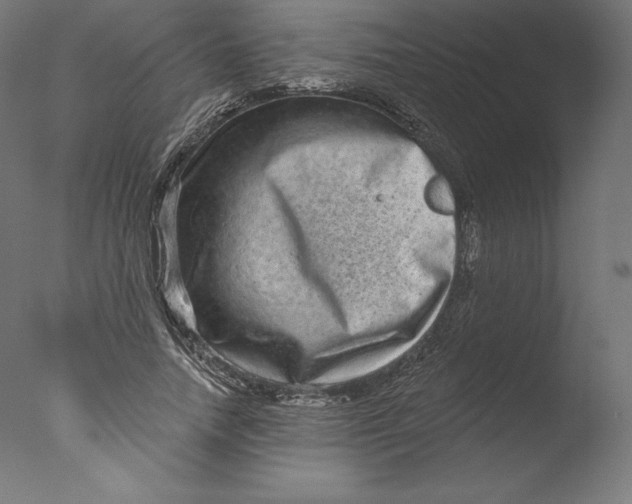 X0000076320738200610201638