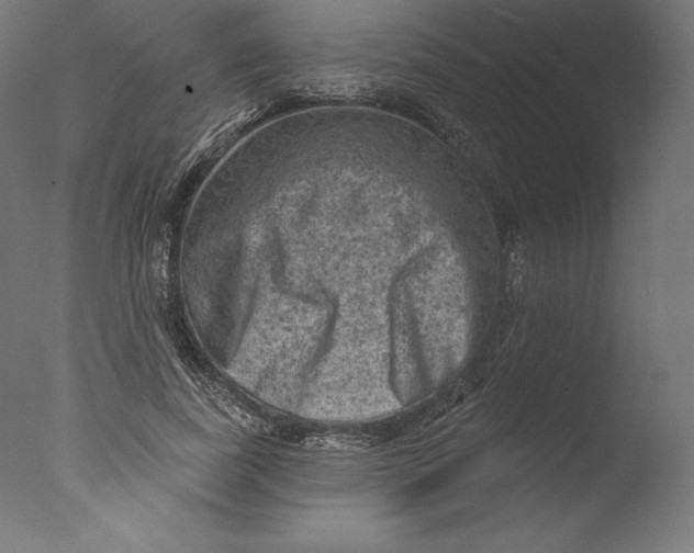 X0000076320739200610201638