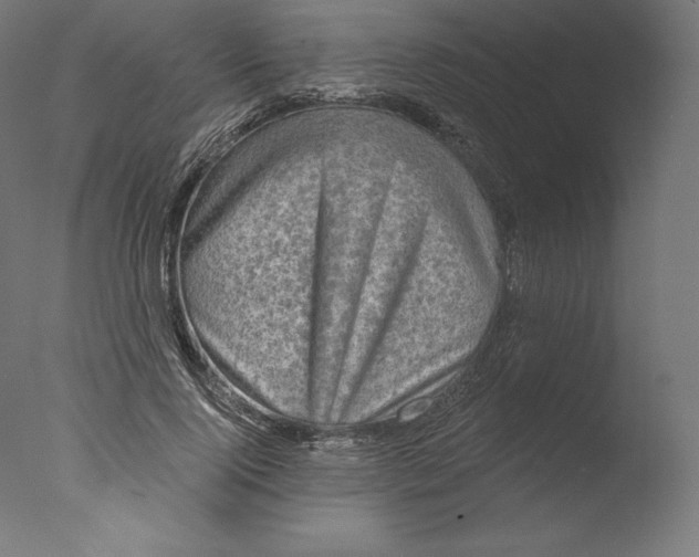 X0000076320740200610201638