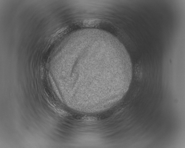 X0000076320741200610201638