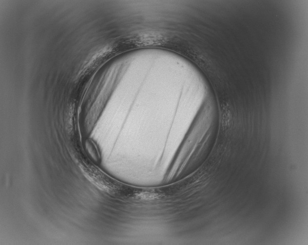 X0000076320742200610201638