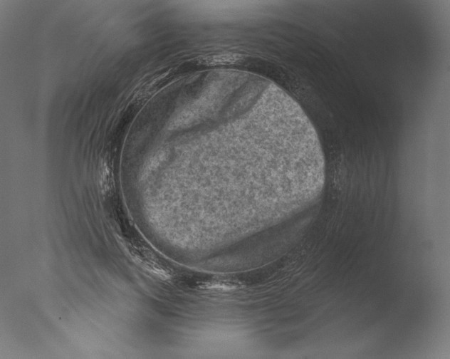 X0000076320743200610201638