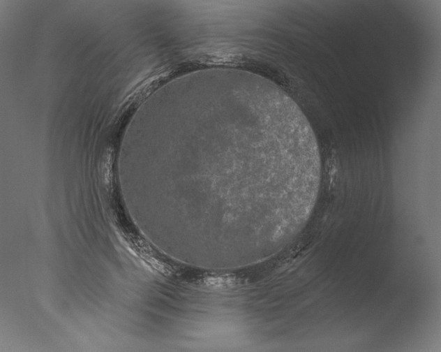 X0000076320744200610201638