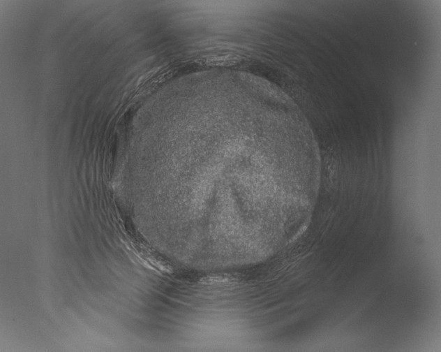 X0000076320745200610201638