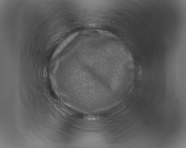 X0000076320746200610201638