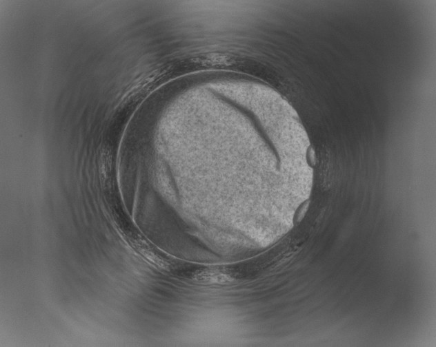 X0000076320747200610201638