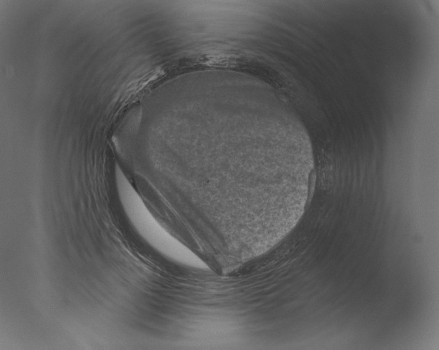 X0000076320748200610201638